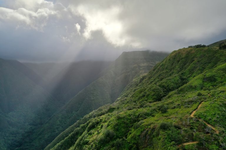 DJI 0013 768x512