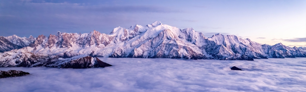 User banner image