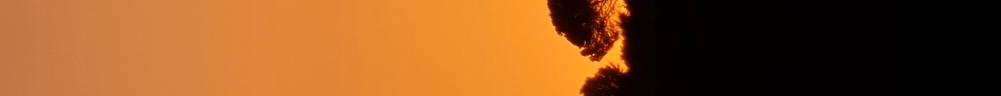 User banner image