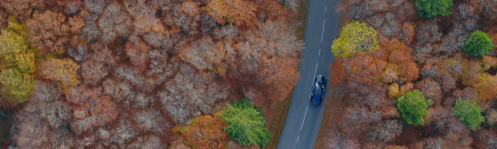 User banner image
