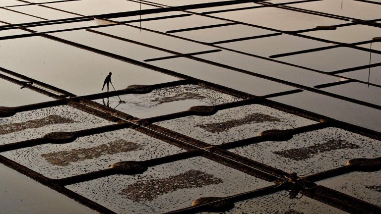 DJI 0159 1536x863 copie 768x432