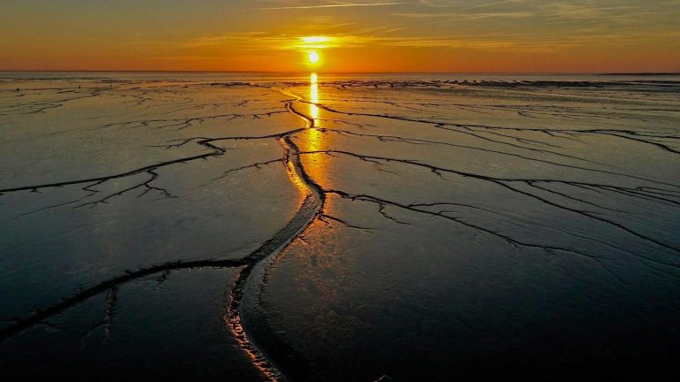 DJI 0981 copie copie 768x432