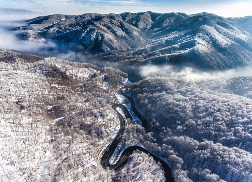 Bogata Forest, Romania (between Brasov and Sighisoara) - Drone Photography