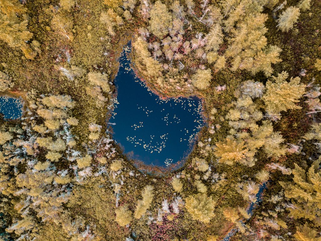 SaintCharlesdebellechasse