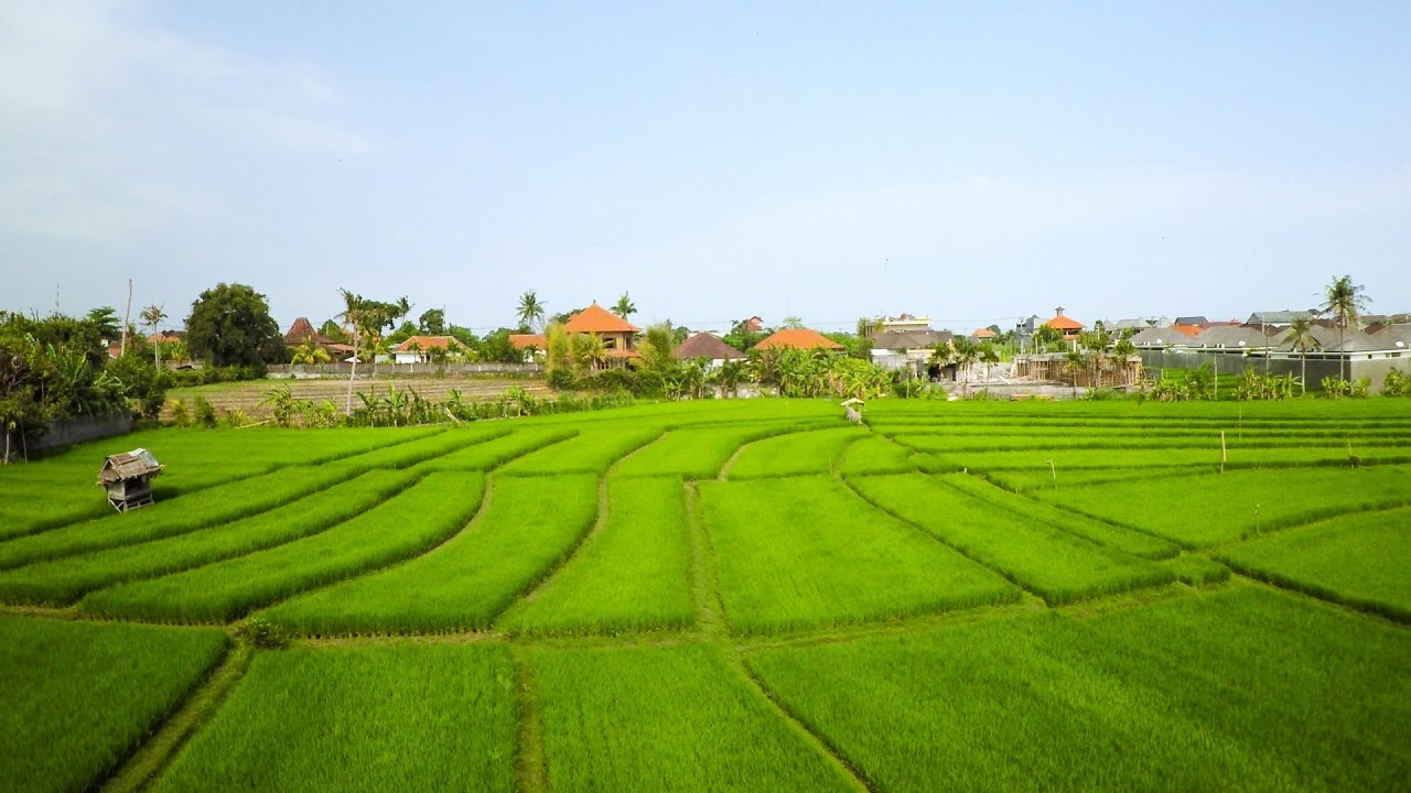 ONE DAY IN INDONESIA | Aerial Drone Video in 4K