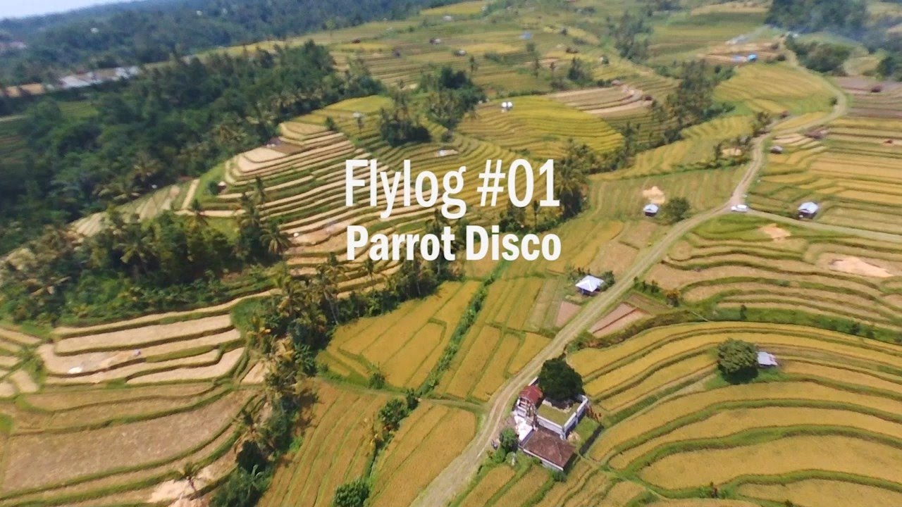 FLYLOG #01 PARROT DISCO @Jatiluwih Tabanan Bali