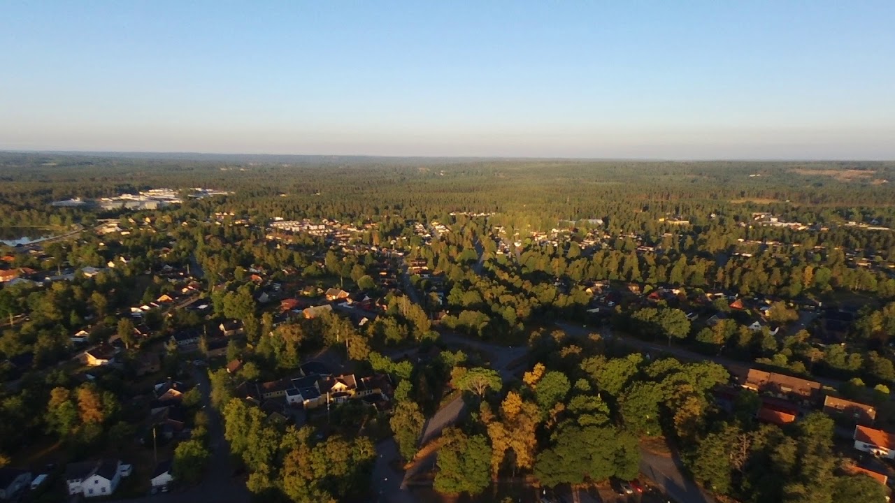 Parrot Disco Mullsjö