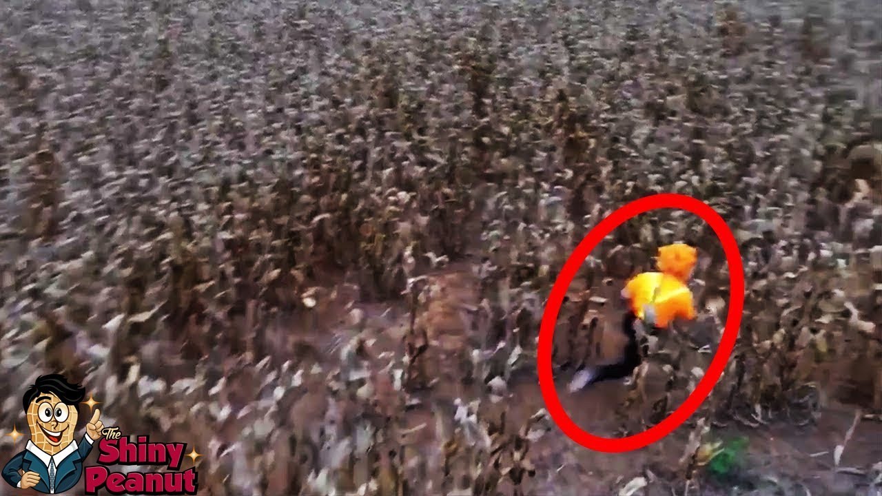 Kejadian Paling Mengerikan yang Tertangkap DRONE